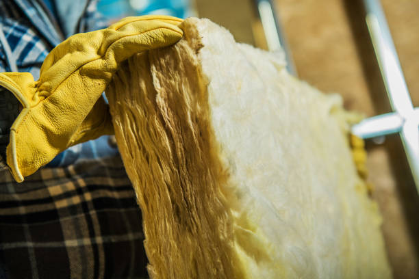 Best Geographic-Specific Insulation Services in Bryn Mawr Skyy, WA