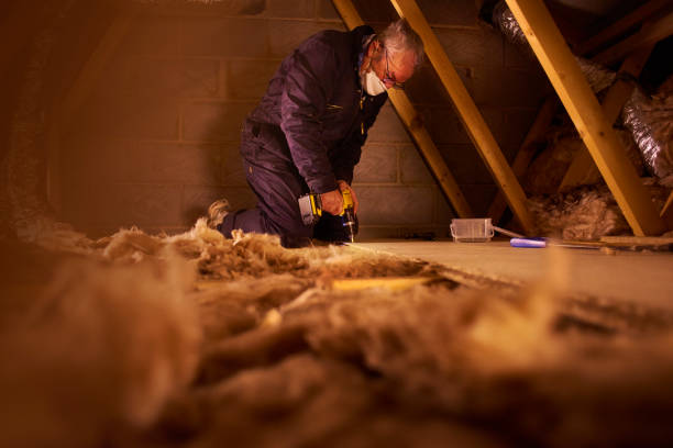 Best Fiberglass Insulation in Bryn Mawr Skyy, WA