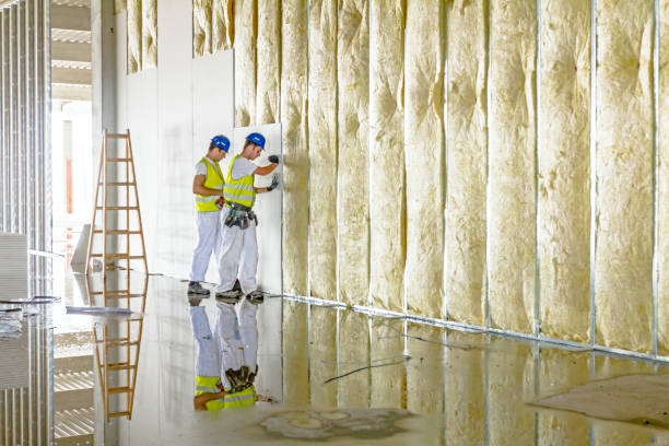 Best Energy Efficiency Insulation in Bryn Mawr Skyy, WA
